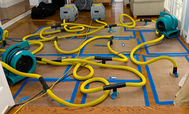 Professional Water Extraction technician working in Waterloo, AL